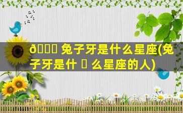 🐅 兔子牙是什么星座(兔子牙是什 ☘ 么星座的人)